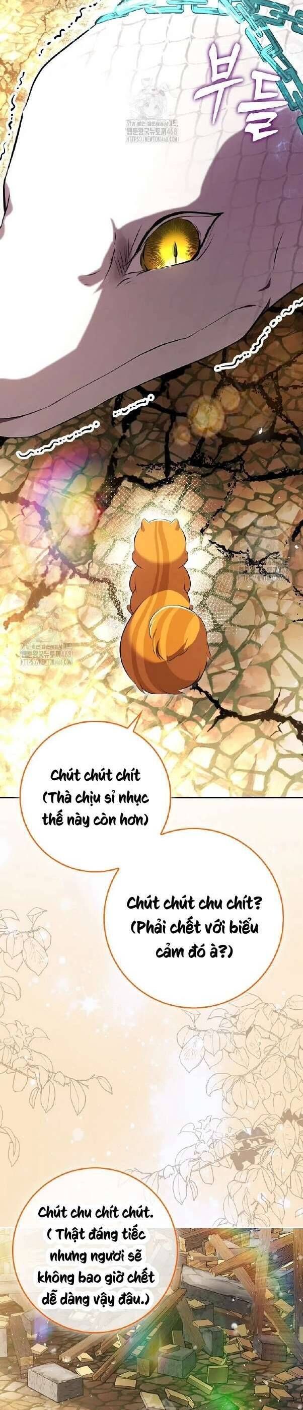 Sóc Con Tài Năng Chapter 117 - Trang 2