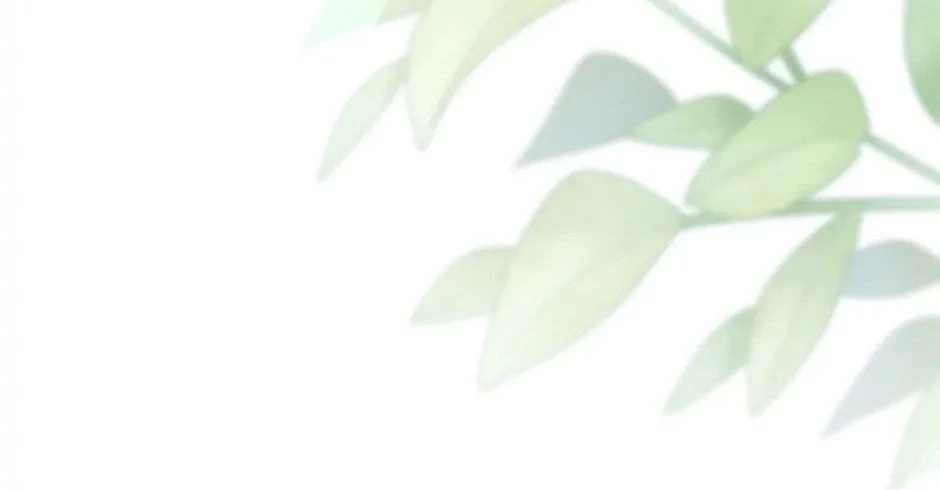 Đã Bảo Nữ Chính Đang Cải Trang Cơ Mà! Chapter 49 - Trang 2