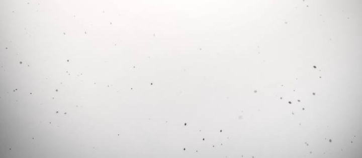 Sát Thủ Peter Chapter 102.1 - Trang 2