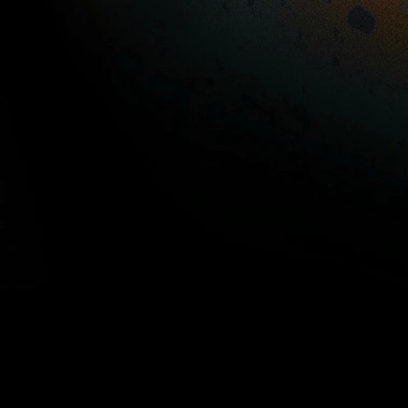 Trở Thành Thiên Tài Bất Trị Của Hắc Gia Chapter 17 - Trang 2