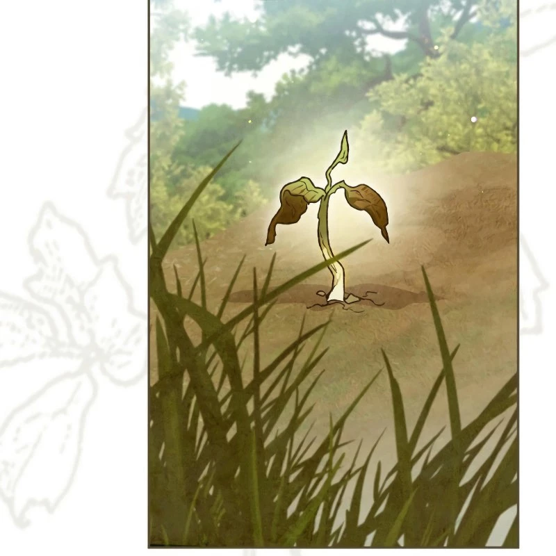 Trở Thành Thiên Tài Bất Trị Của Hắc Gia Chapter 22 - Trang 2