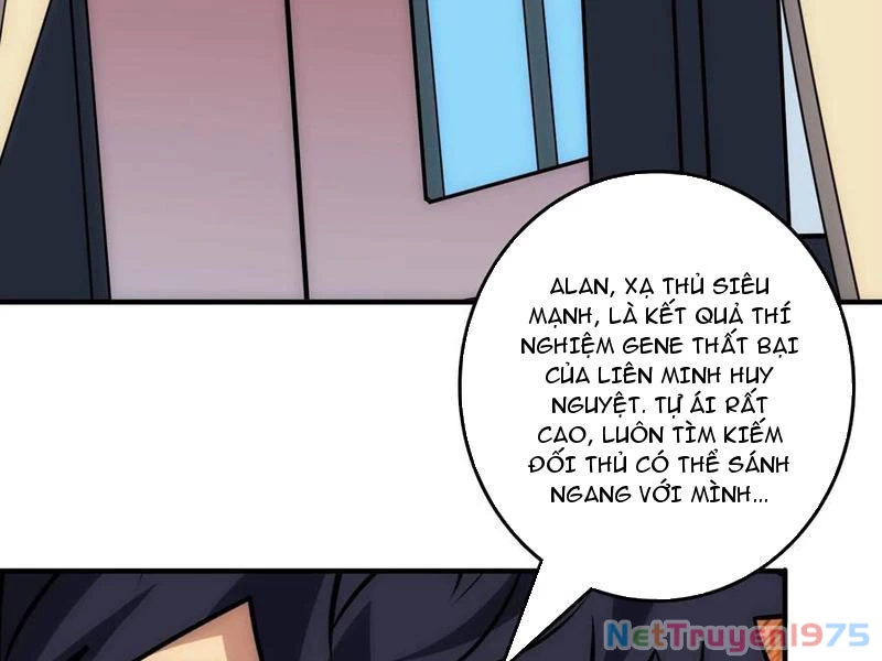 Tin Tức Của Toàn Tri Giả Chapter 43 - Trang 2