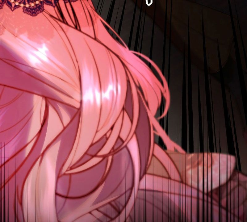 Các Nam Chính Bị Giam Giữ Trong Nhà Tôi Chapter 1 - Trang 2