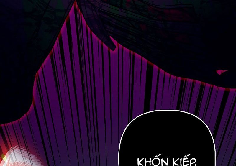 Các Nam Chính Bị Giam Giữ Trong Nhà Tôi Chapter 1 - Trang 2