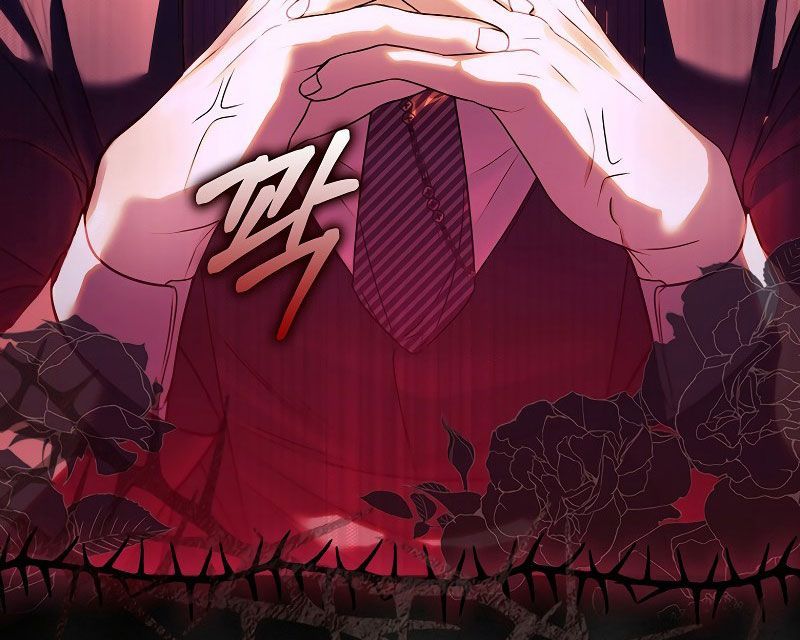 Các Nam Chính Bị Giam Giữ Trong Nhà Tôi Chapter 2 - Trang 2