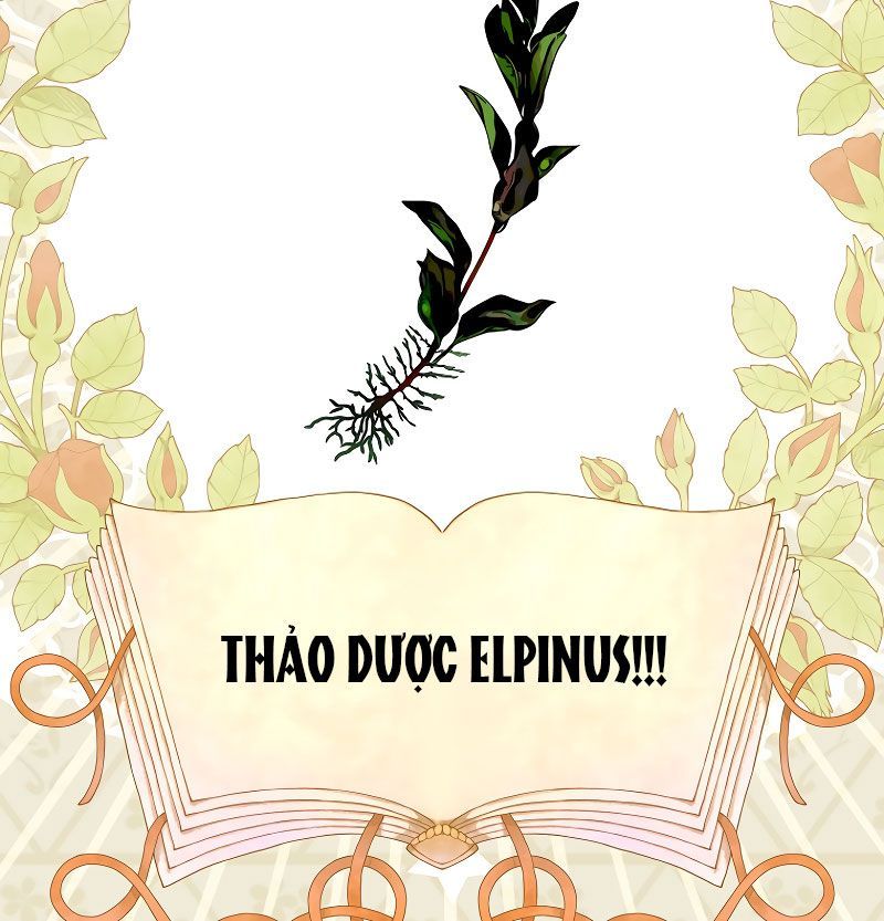 Các Nam Chính Bị Giam Giữ Trong Nhà Tôi Chapter 3 - Trang 2