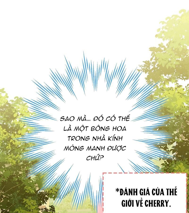 Các Nam Chính Bị Giam Giữ Trong Nhà Tôi Chapter 10 - Trang 2