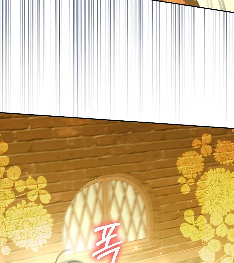 Các Nam Chính Bị Giam Giữ Trong Nhà Tôi Chapter 14 - Trang 2