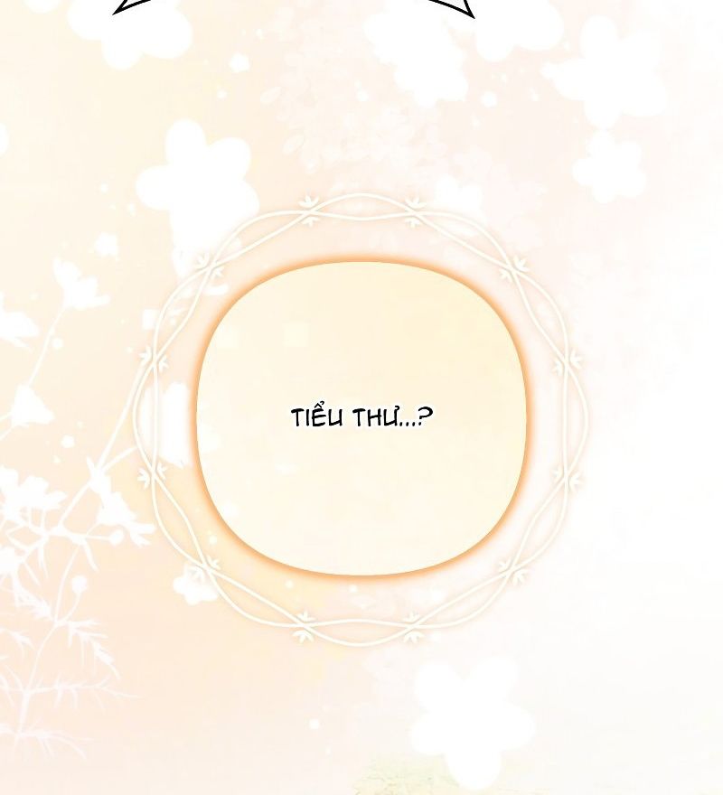 Các Nam Chính Bị Giam Giữ Trong Nhà Tôi Chapter 16 - Trang 2