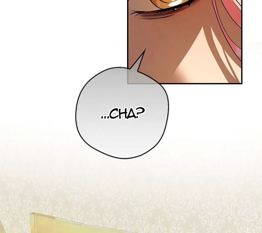 Các Nam Chính Bị Giam Giữ Trong Nhà Tôi Chapter 23 - Trang 2