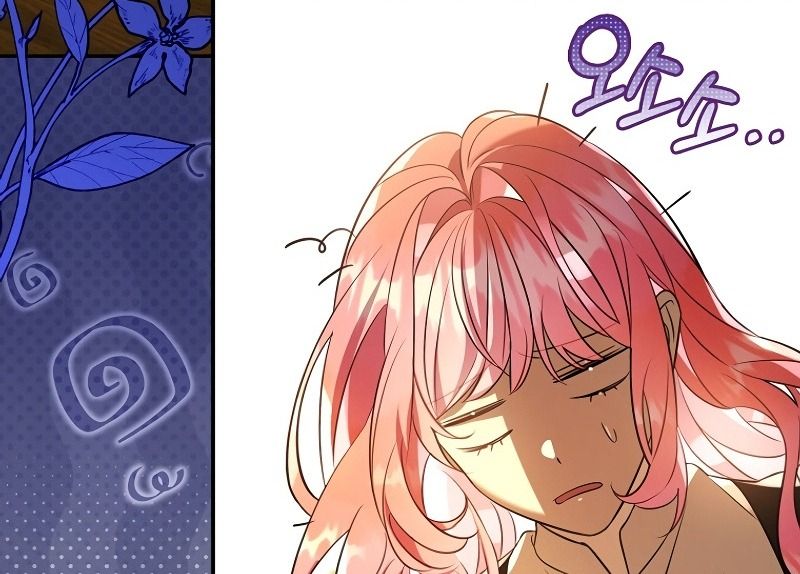 Các Nam Chính Bị Giam Giữ Trong Nhà Tôi Chapter 27 - Trang 2