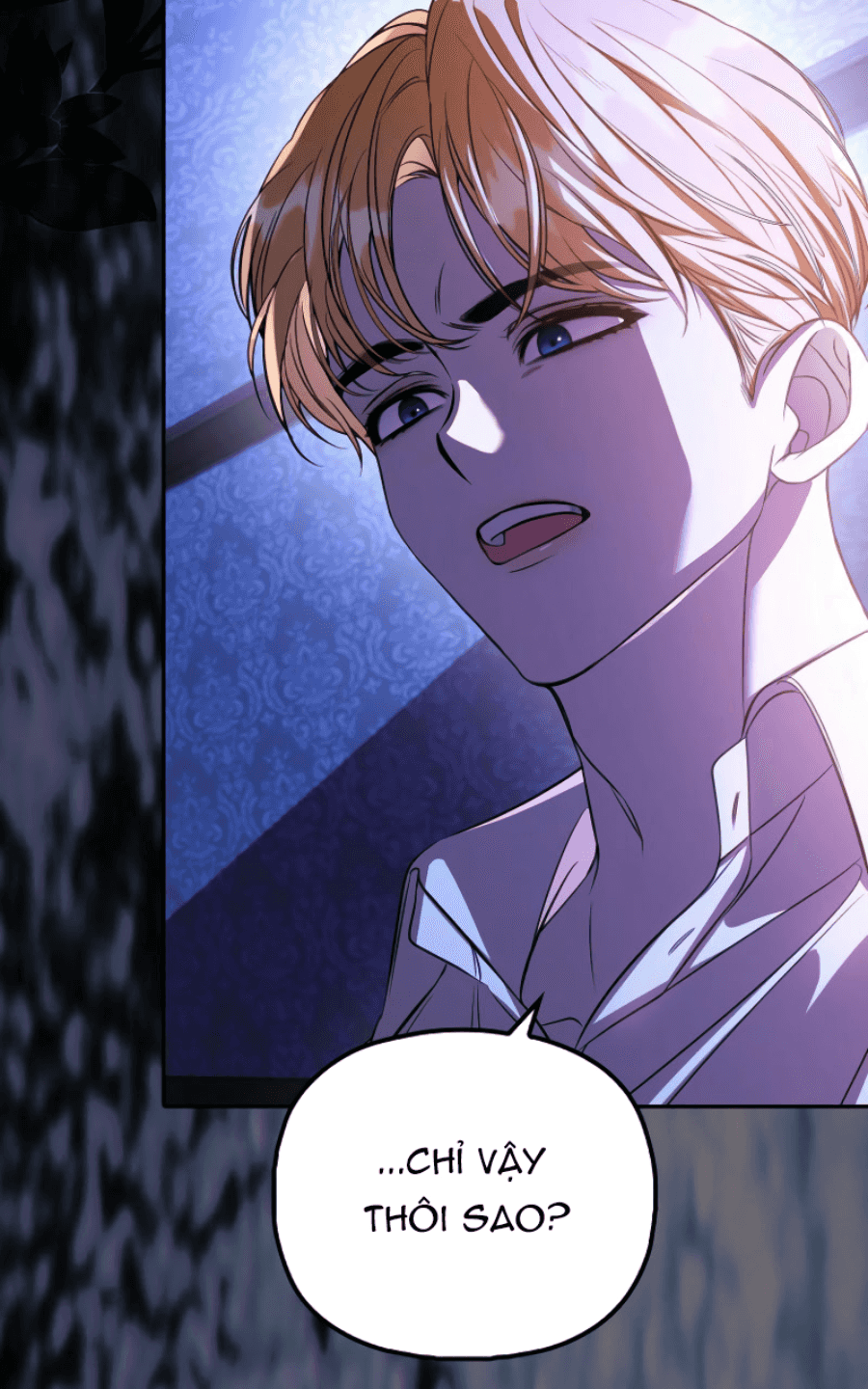 Các Nam Chính Bị Giam Giữ Trong Nhà Tôi Chapter 28 - Trang 2
