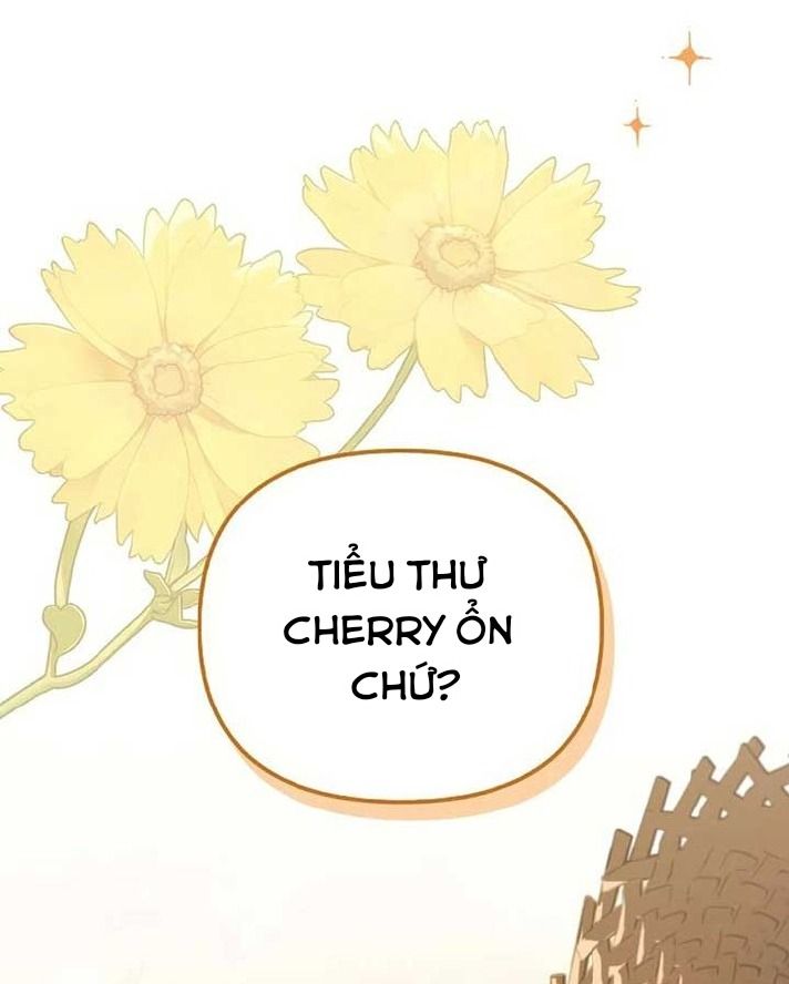 Các Nam Chính Bị Giam Giữ Trong Nhà Tôi Chapter 36 - Trang 2
