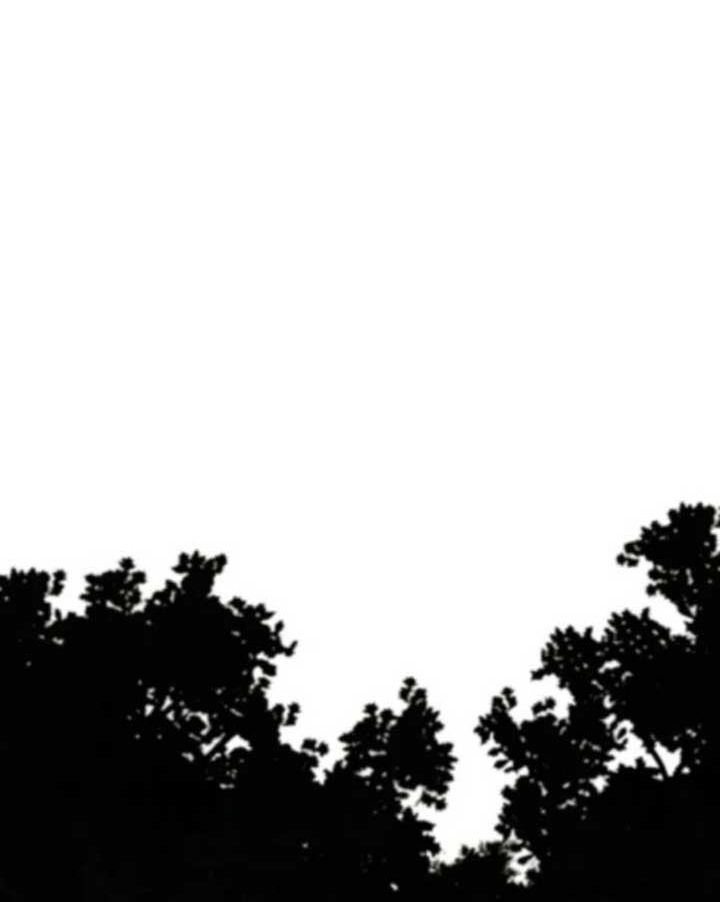 Các Nam Chính Bị Giam Giữ Trong Nhà Tôi Chapter 41 - Trang 2