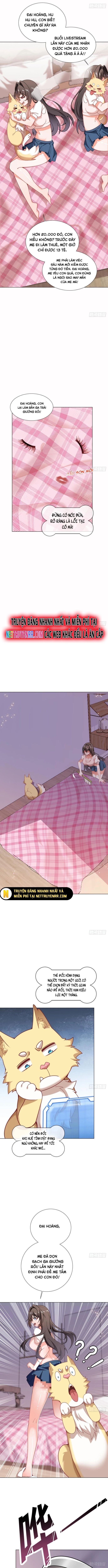 Kế Hoạch Bồi Dưỡng Streamer Của Cẩu Hoàng Chapter 4 - Trang 2