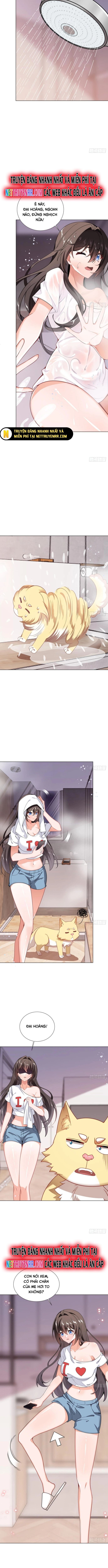 Kế Hoạch Bồi Dưỡng Streamer Của Cẩu Hoàng Chapter 4 - Trang 2