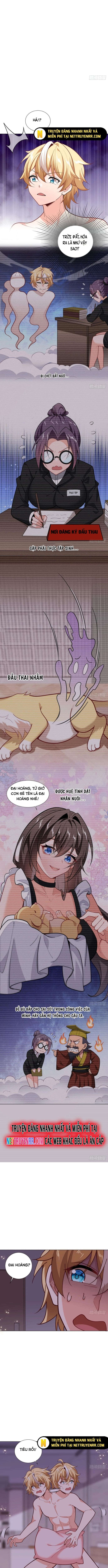 Kế Hoạch Bồi Dưỡng Streamer Của Cẩu Hoàng Chapter 4 - Trang 2