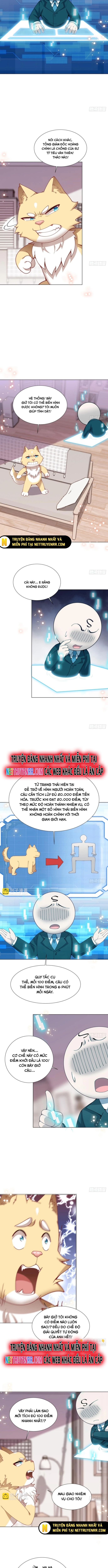 Kế Hoạch Bồi Dưỡng Streamer Của Cẩu Hoàng Chapter 11 - Trang 2