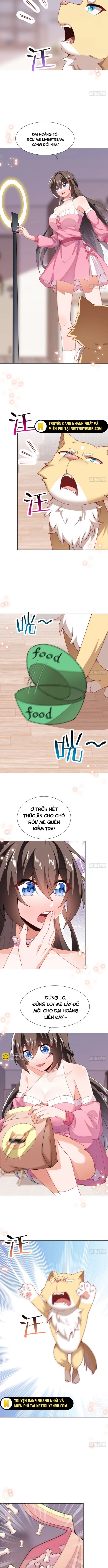 Kế Hoạch Bồi Dưỡng Streamer Của Cẩu Hoàng Chapter 14 - Trang 2
