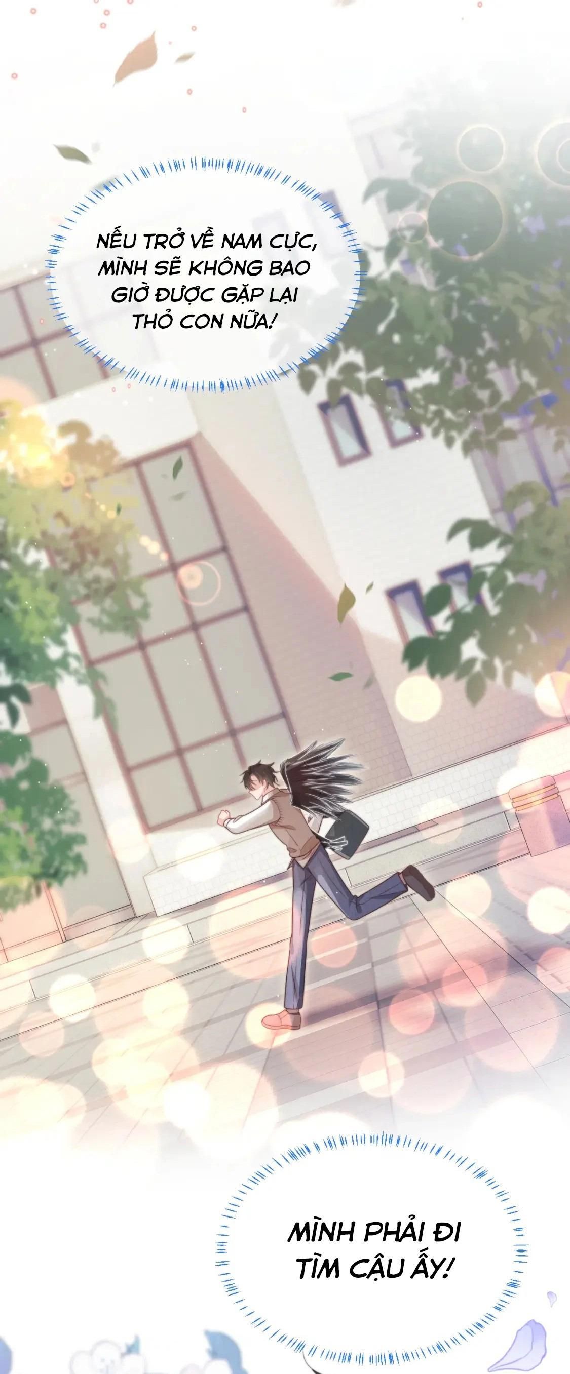 [Ss2] Một Ngụm Ăn Cả Thỏ Con Chapter 39 - Trang 2