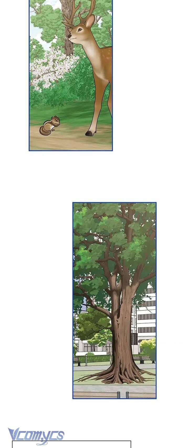 Điều Ước Sao Băng Chapter 50 - Trang 2