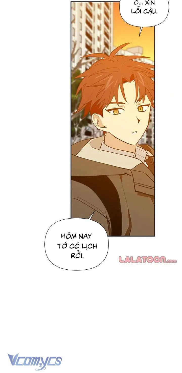 Điều Ước Sao Băng Chapter 55 - Trang 2