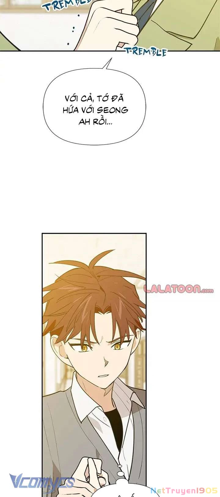 Điều Ước Sao Băng Chapter 56 - Trang 2