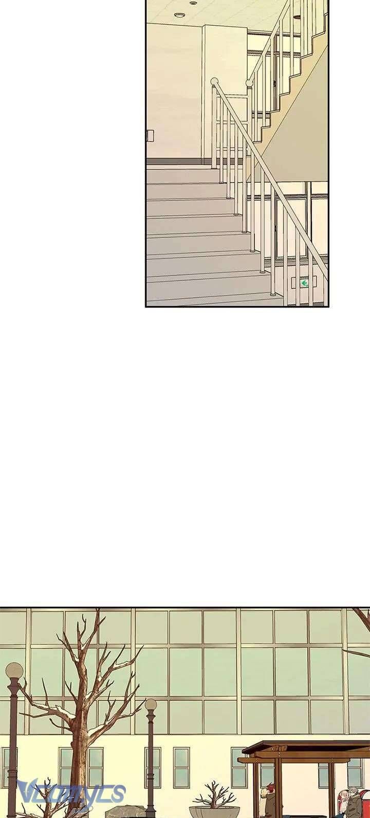 Điều Ước Sao Băng Chapter 58 - Trang 2