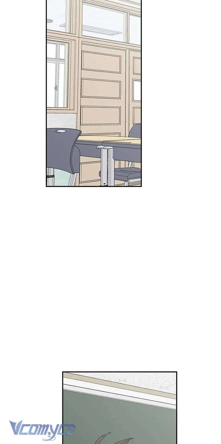 Điều Ước Sao Băng Chapter 58 - Trang 2