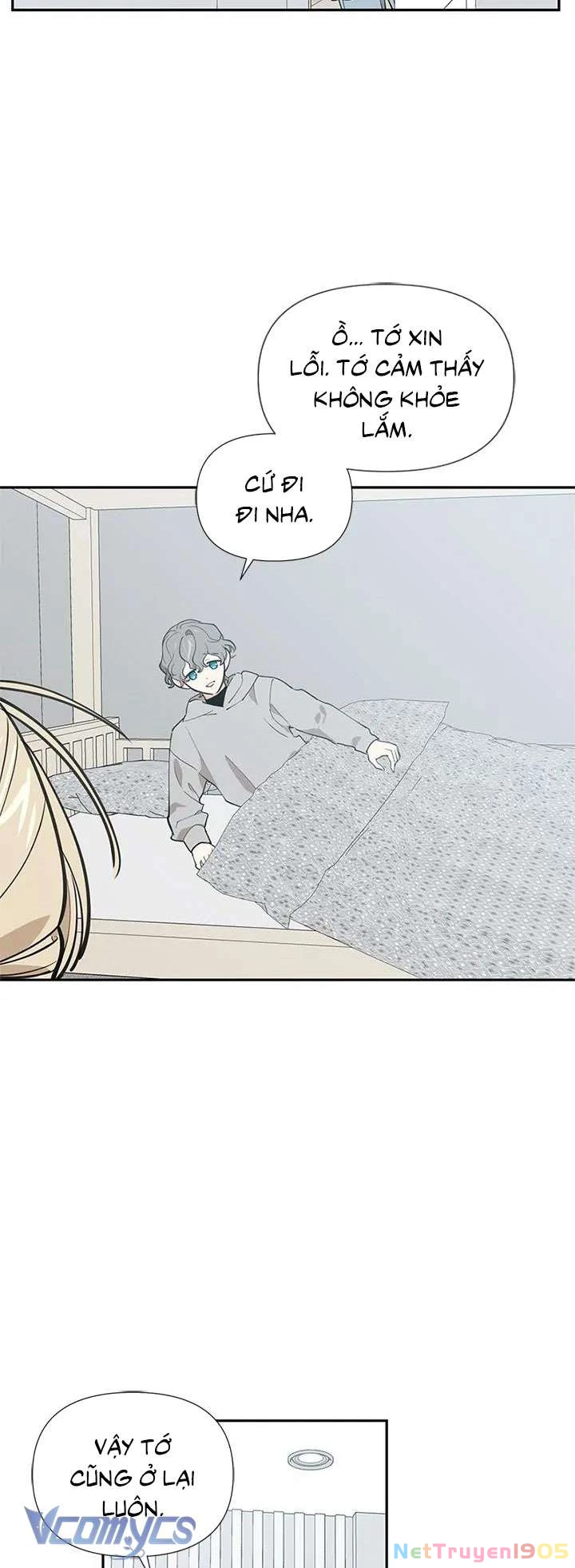Điều Ước Sao Băng Chapter 61 - Trang 2
