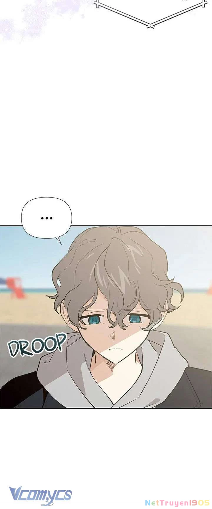 Điều Ước Sao Băng Chapter 61 - Trang 2