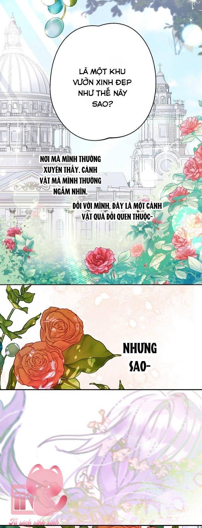 Tiền Là Tất Cả Chồng Là Phù Du Chapter 102 - Trang 2