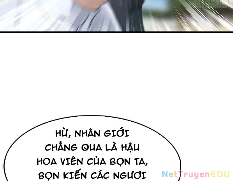 Tu Tiên Trở Về Tại Vườn Trường – Phần 2 Chapter 101 - Trang 2