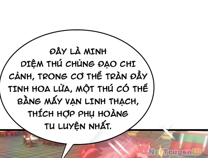 Tu Tiên Trở Về Tại Vườn Trường – Phần 2 Chapter 137 - Trang 2