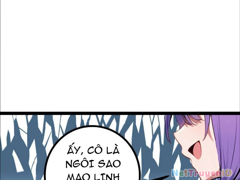 Phong Thủy Thiên Sư Ngành Giải Trí Chapter 10 - Trang 2