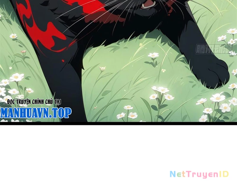Phong Thủy Thiên Sư Ngành Giải Trí Chapter 13 - Trang 2