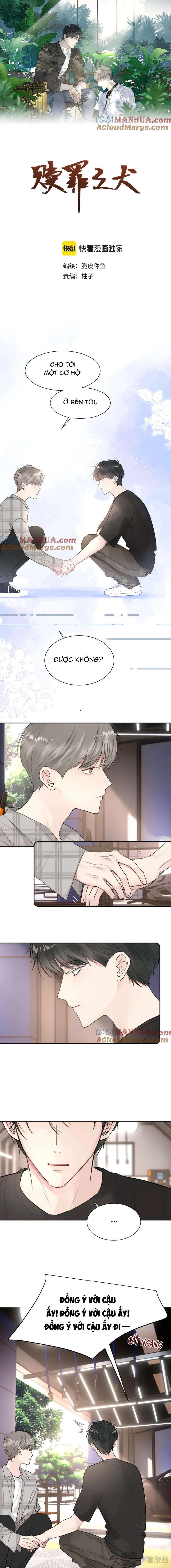 Chó Chuộc Tội Chapter 44 - Trang 2