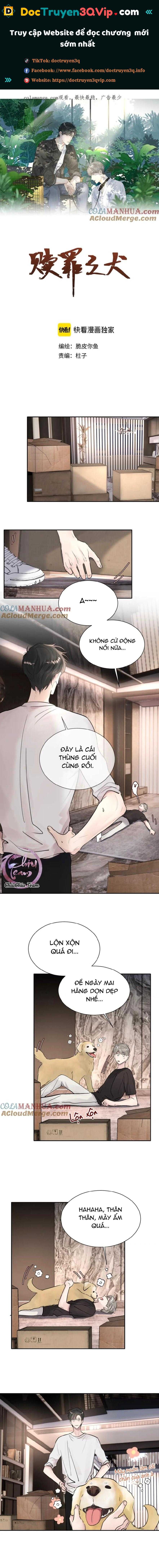 Chó Chuộc Tội Chapter 50 - Trang 2