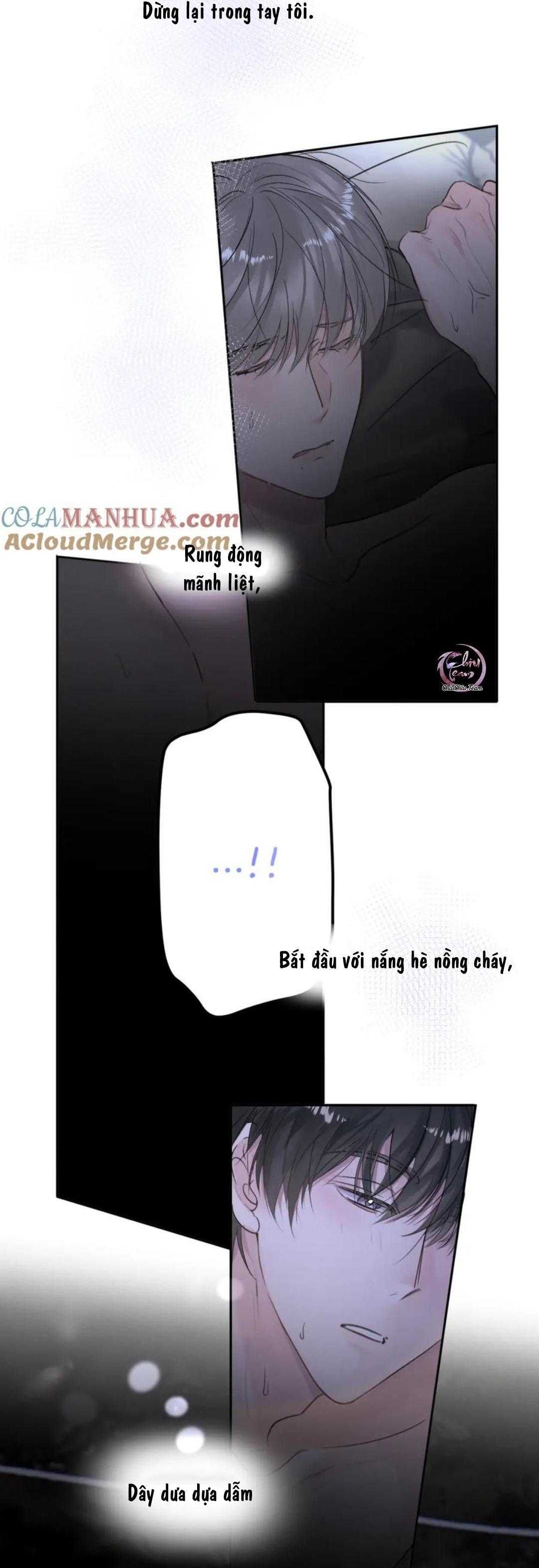 Chó Chuộc Tội Chapter 51 - Trang 2