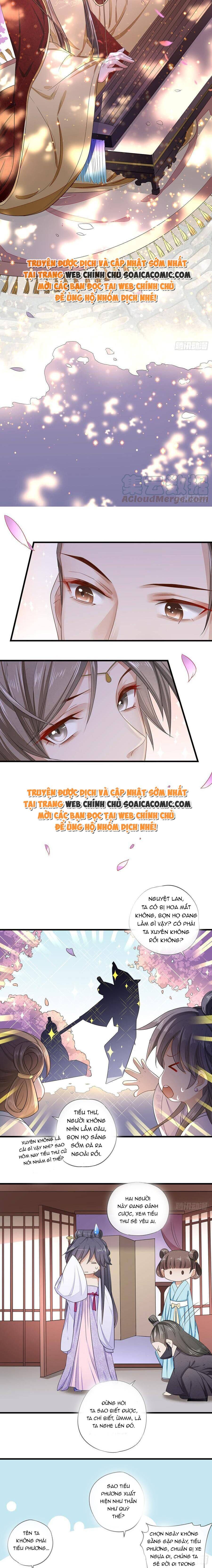 Tra Nam Gặp Tôi Phải Khóc Thét Chapter 8 - Trang 2