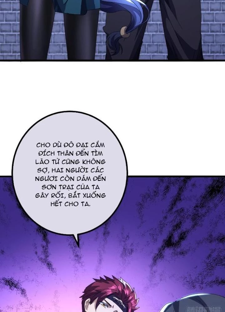Kim Cương Bất Hoại Đại Trại Chủ Chapter 11 - Trang 2