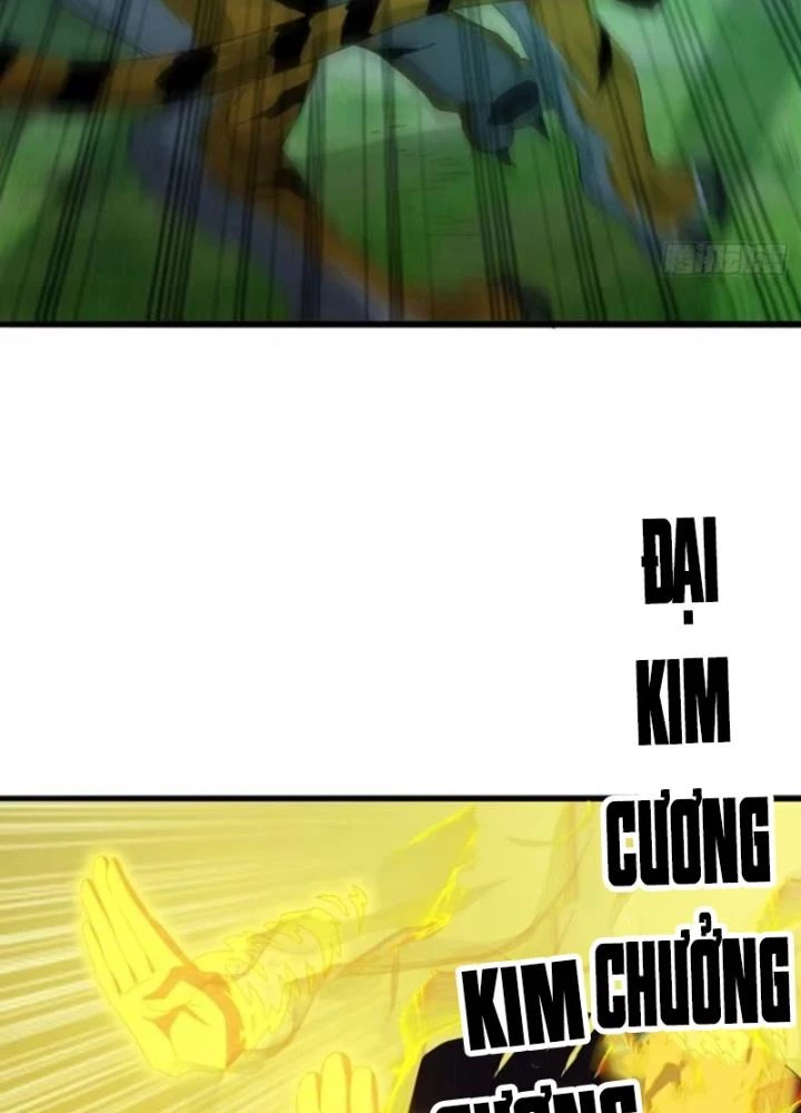 Kim Cương Bất Hoại Đại Trại Chủ Chapter 17 - Trang 2