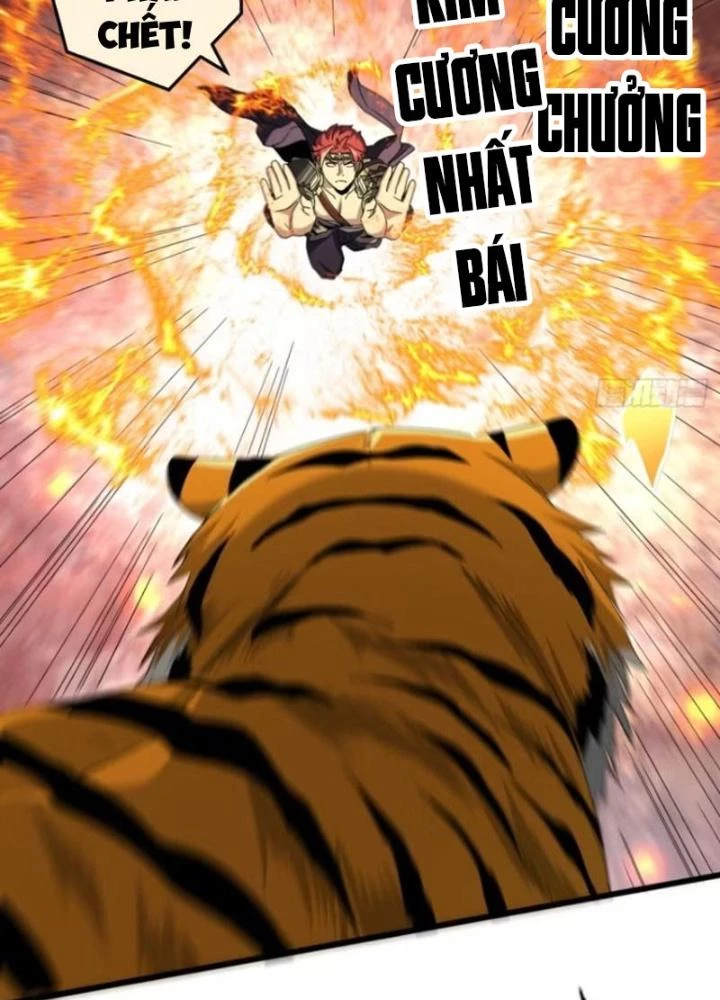 Kim Cương Bất Hoại Đại Trại Chủ Chapter 17 - Trang 2