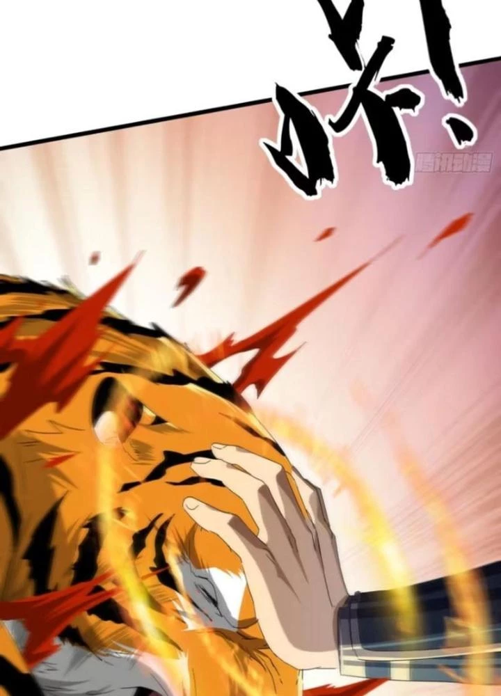 Kim Cương Bất Hoại Đại Trại Chủ Chapter 17 - Trang 2