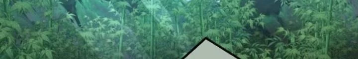Kim Cương Bất Hoại Đại Trại Chủ Chapter 18 - Trang 2