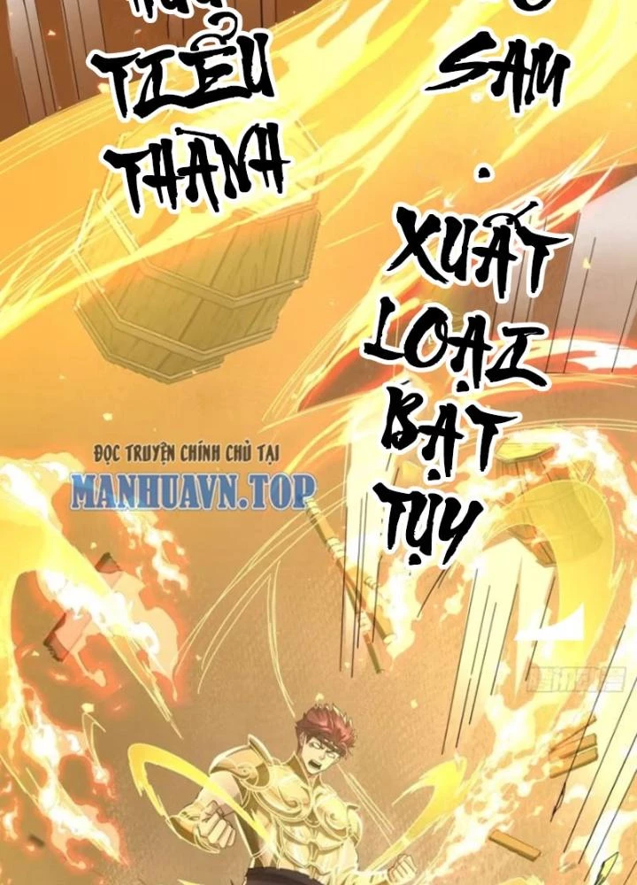 Kim Cương Bất Hoại Đại Trại Chủ Chapter 22 - Trang 2