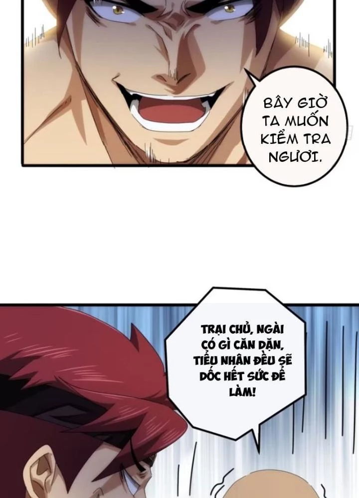 Kim Cương Bất Hoại Đại Trại Chủ Chapter 26 - Trang 2