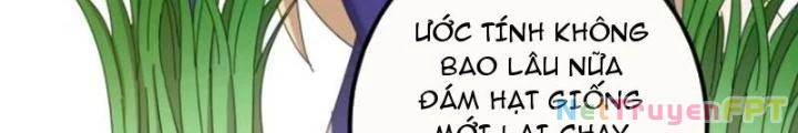 Kim Cương Bất Hoại Đại Trại Chủ Chapter 26 - Trang 2