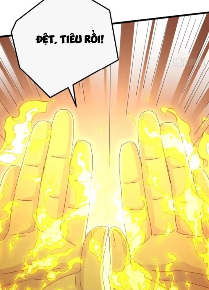 Kim Cương Bất Hoại Đại Trại Chủ Chapter 27 - Trang 2