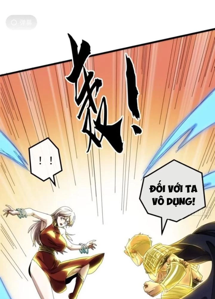 Kim Cương Bất Hoại Đại Trại Chủ Chapter 29 - Trang 2